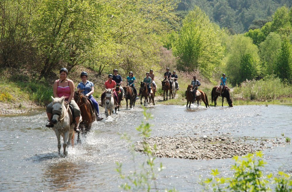 724_2018-01-06-23-06-50.61137-e1747646348181