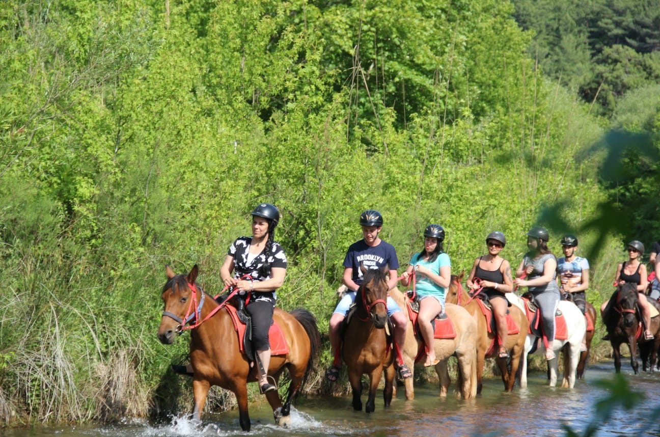 marmaris-at-safari-03-e1747646315864