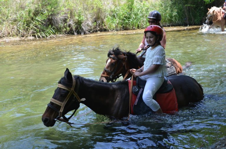 marmaris-at-safari-04-768x508-1